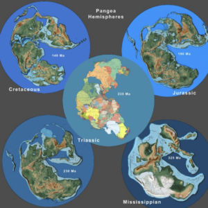Earth History Pangaea Hemispheres